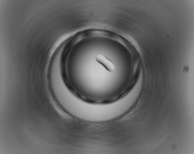 X0000093261128200709261726