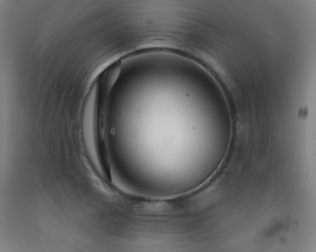 X0000093261129200709261726