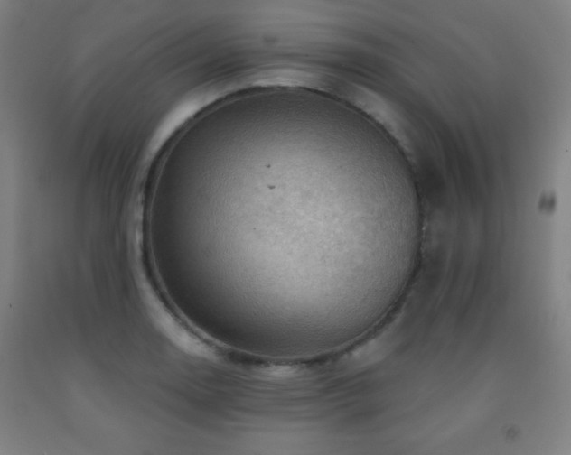 X0000093261130200709261726