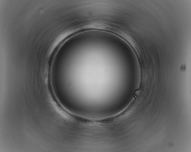 X0000093261131200709261726