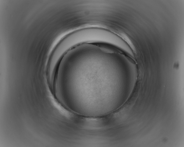 X0000093261132200709261726