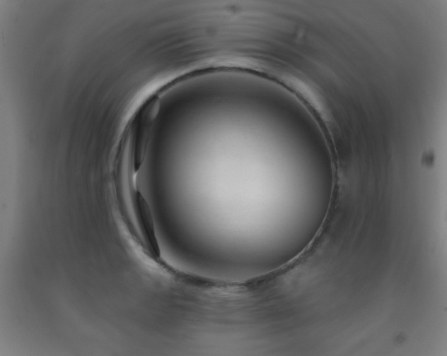 X0000093261133200709261726