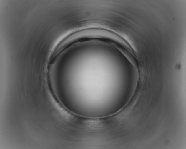 X0000093261134200709261726
