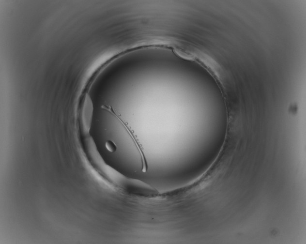X0000093261135200709261726