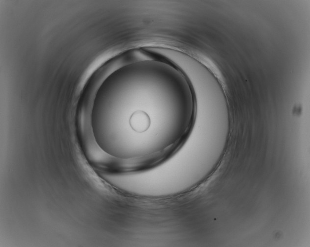 X0000093261138200709261726