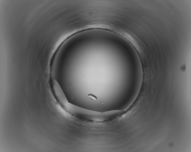 X0000093261140200709261726