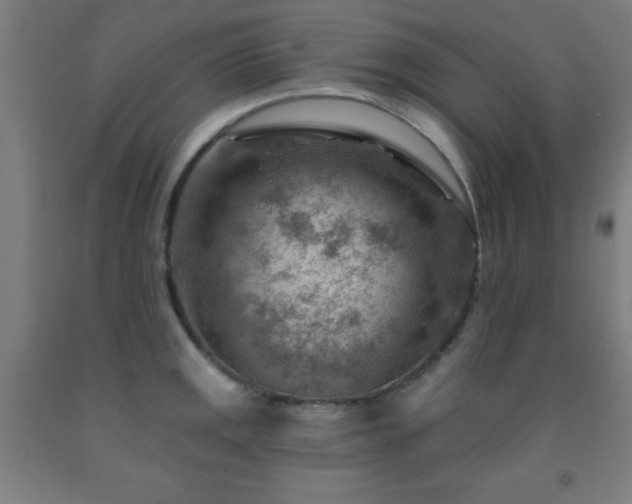 X0000093261141200709261726