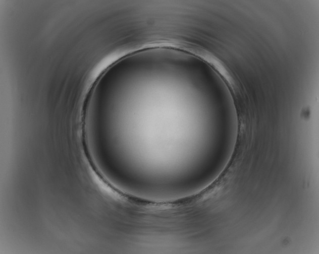 X0000093261143200709261726