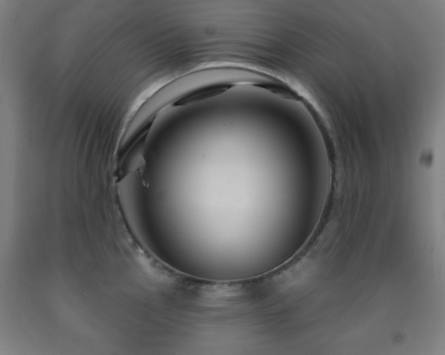 X0000093261145200709261726