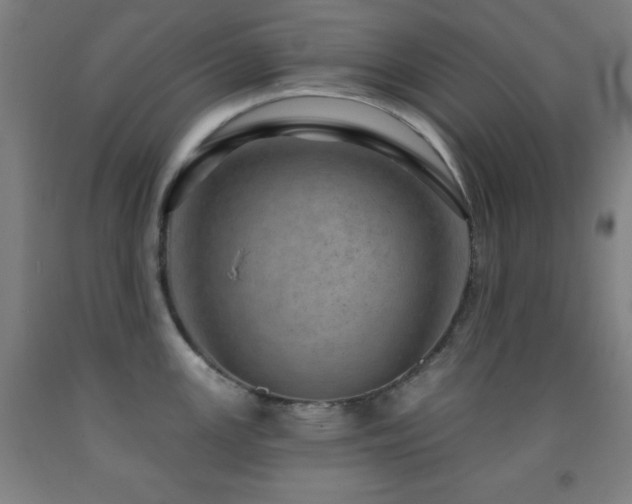 X0000093261147200709261726
