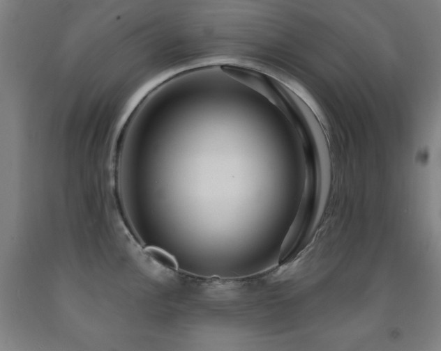 X0000093261148200709261726