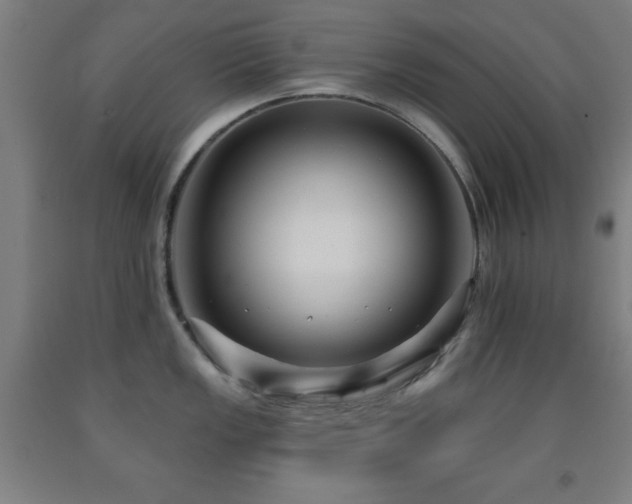 X0000093261149200709261726