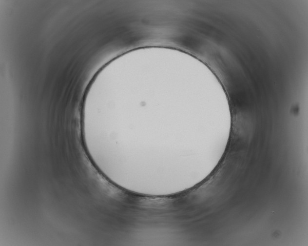 X0000093261150200709261726
