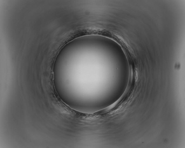 X0000093261153200709261725