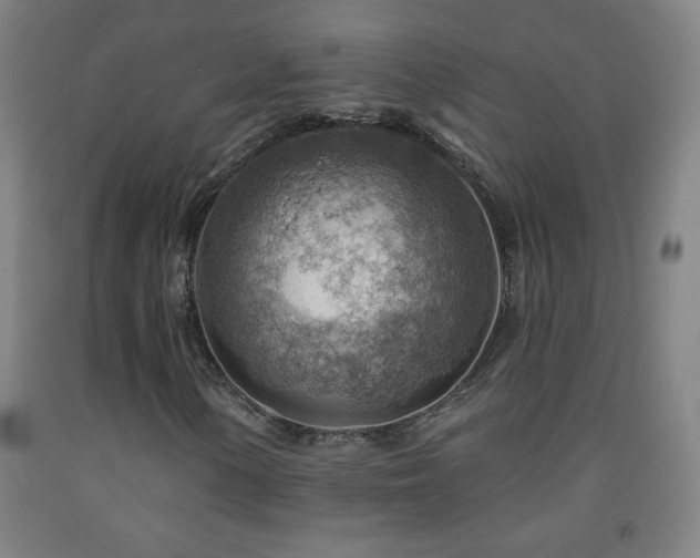 X0000093261154200709261725