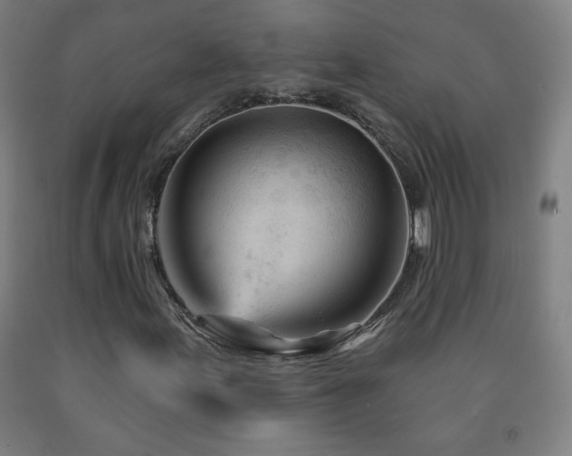 X0000093261155200709261725