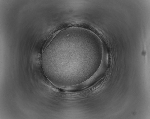 X0000093261156200709261725