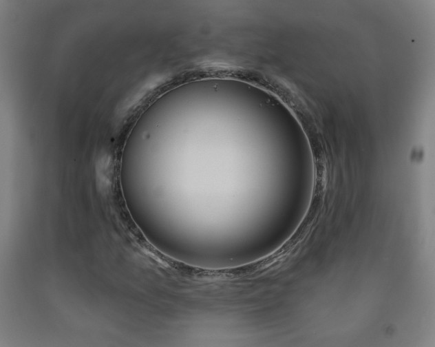 X0000093261157200709261725