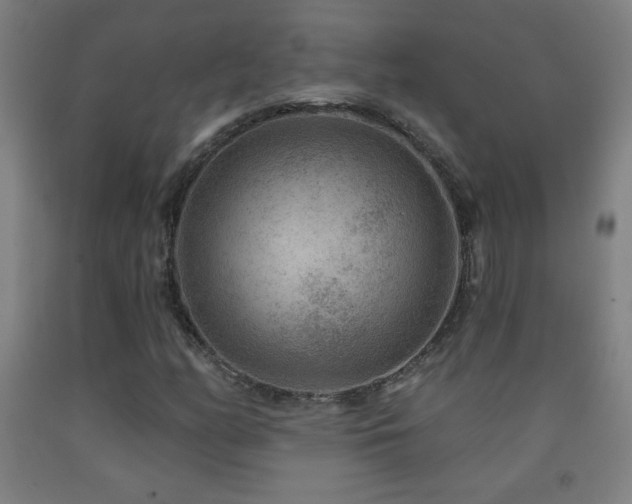 X0000093261158200709261725