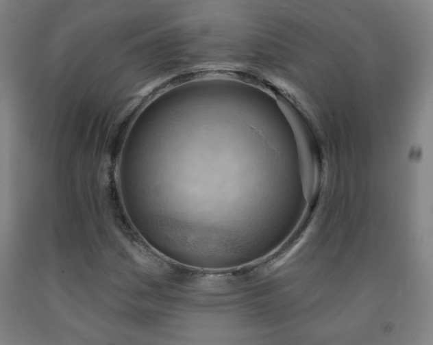 X0000093261161200709261725