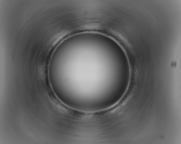 X0000093261162200709261725