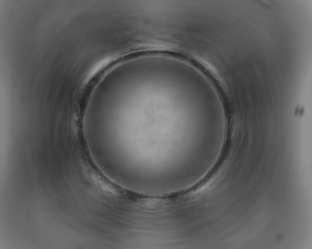 X0000093261163200709261725