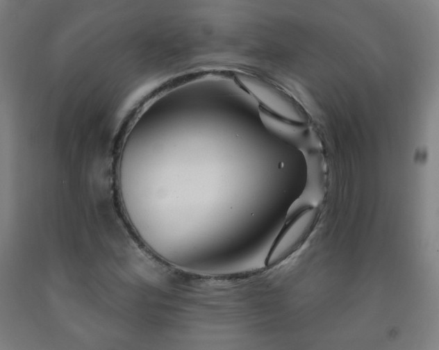 X0000093261164200709261725