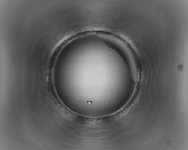 X0000093261165200709261725