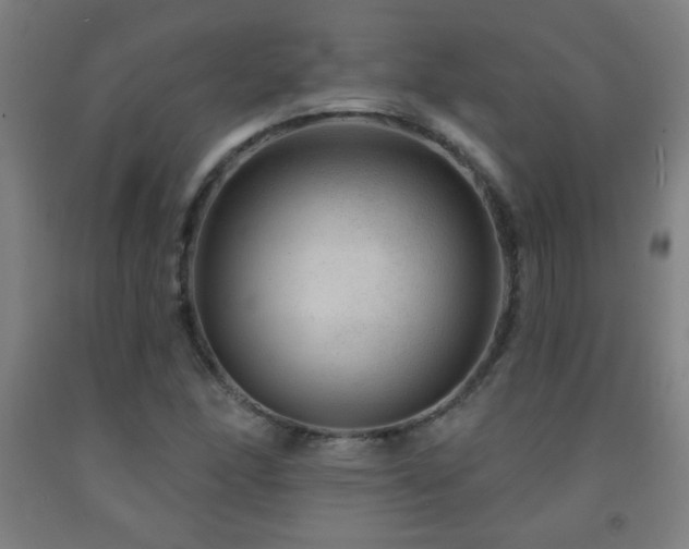 X0000093261166200709261725