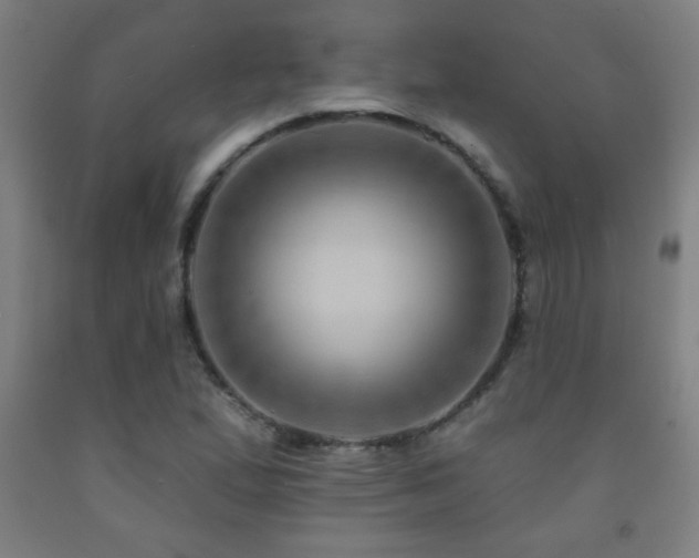 X0000093261167200709261725