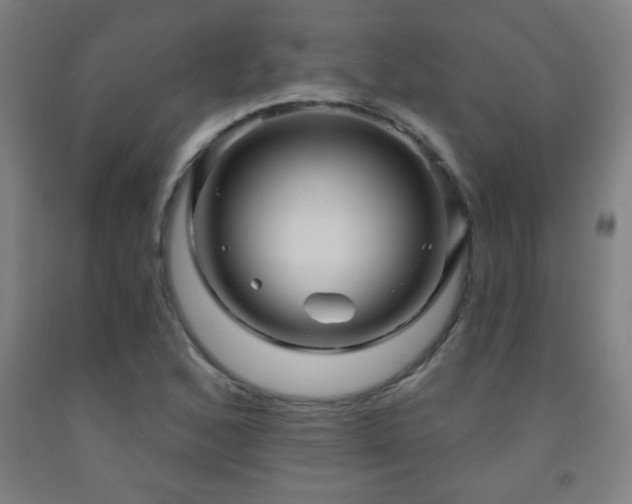X0000093261168200709261725