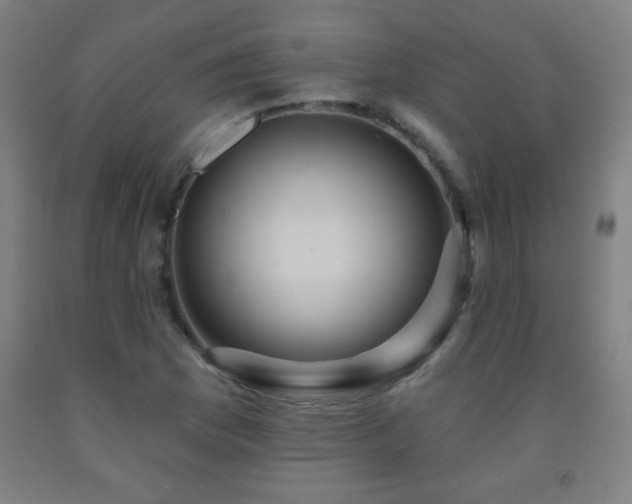 X0000093261169200709261725