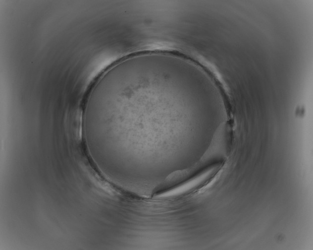 X0000093261171200709261725