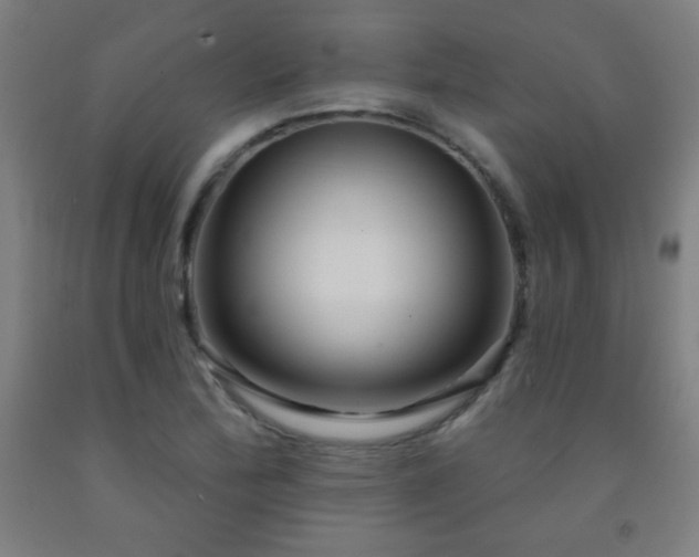 X0000093261172200709261725