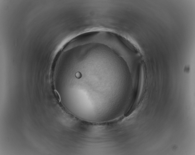 X0000093261173200709261725