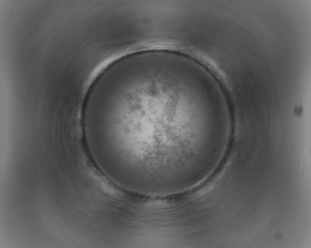 X0000093261174200709261725