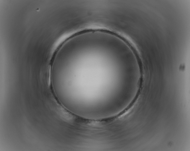 X0000093261175200709261725