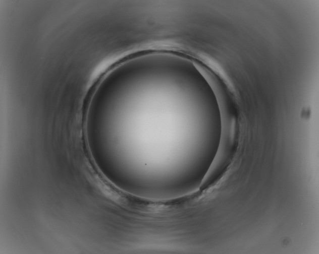X0000093261176200709261725