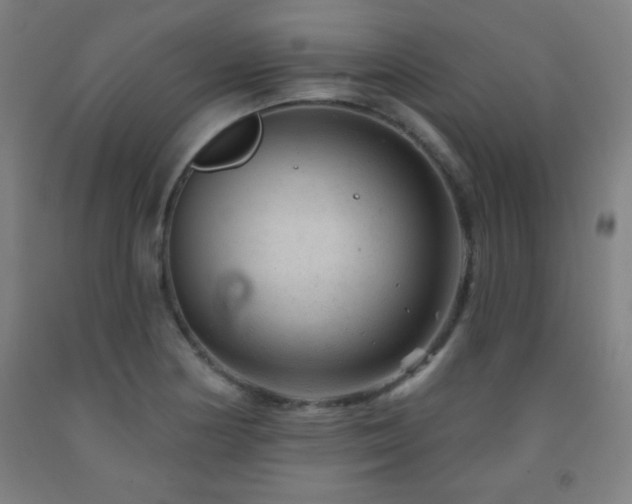 X0000093261178200709261725