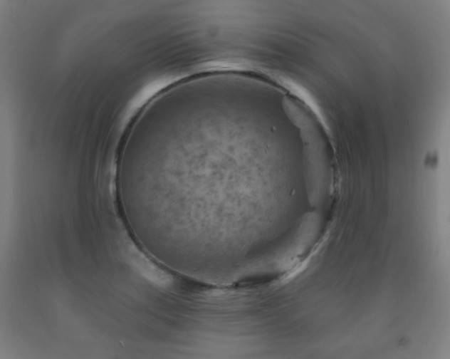 X0000093261179200709261725
