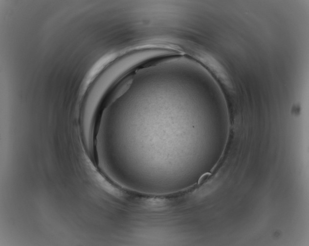 X0000093261180200709261725