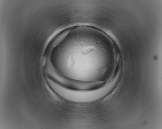 X0000093261181200709261725