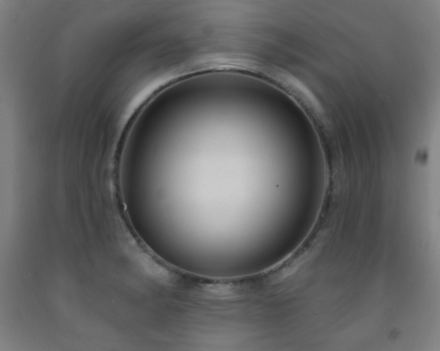 X0000093261182200709261725