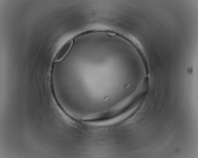 X0000093261183200709261725