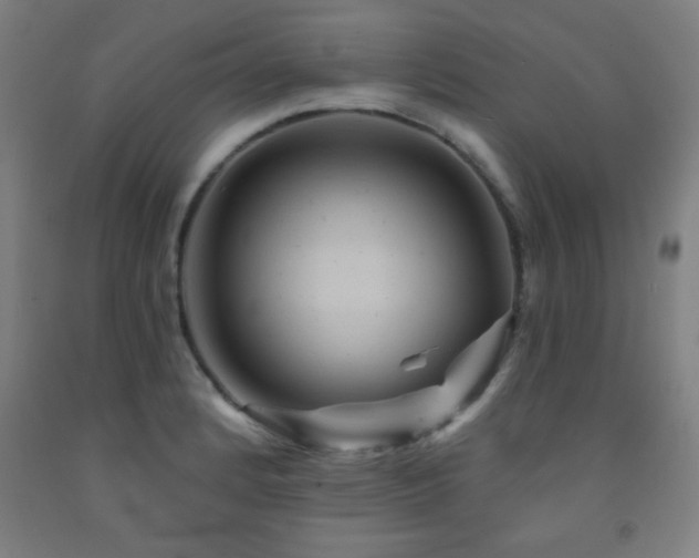 X0000093261184200709261725