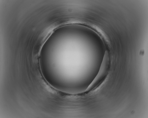 X0000093261185200709261725