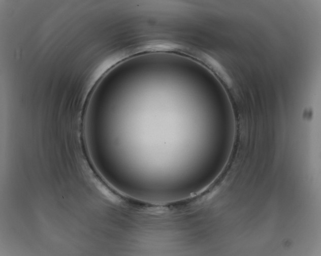 X0000093261186200709261725