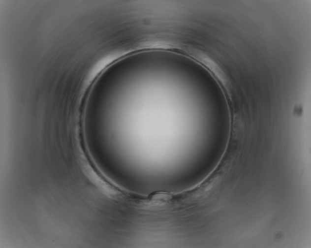 X0000093261187200709261725