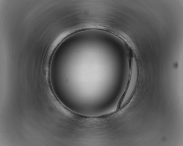 X0000093261188200709261725