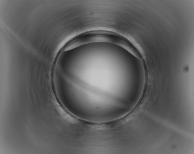 X0000093261189200709261725
